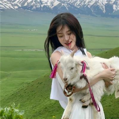第5届中国电影华表奖